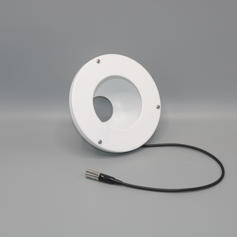 Dome Light DM12