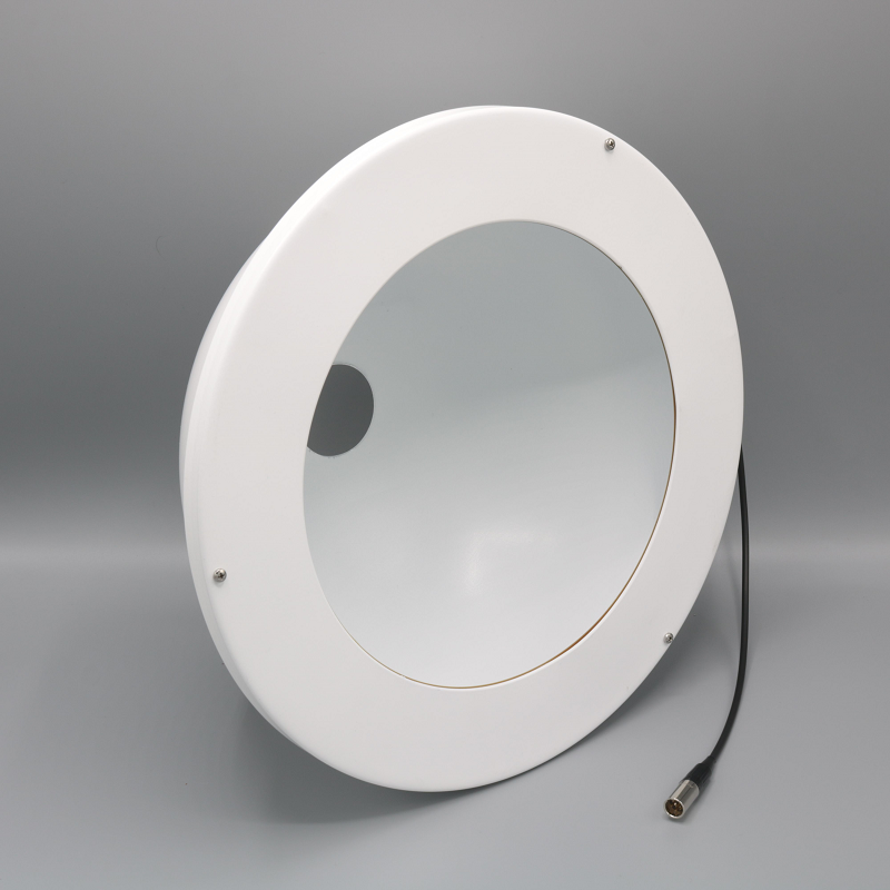Dome Light DM30